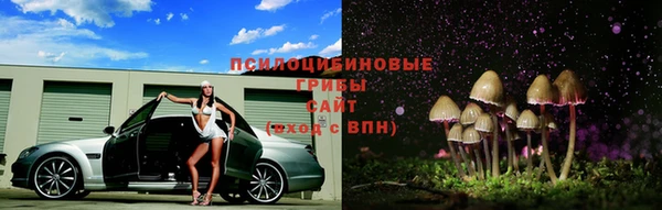 спиды Алексеевка
