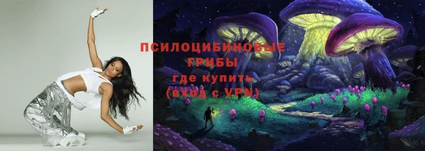 хмурый Алзамай