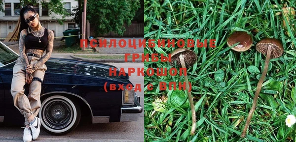 дмт Абаза