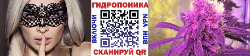 Бошки Шишки VHQ Назрань